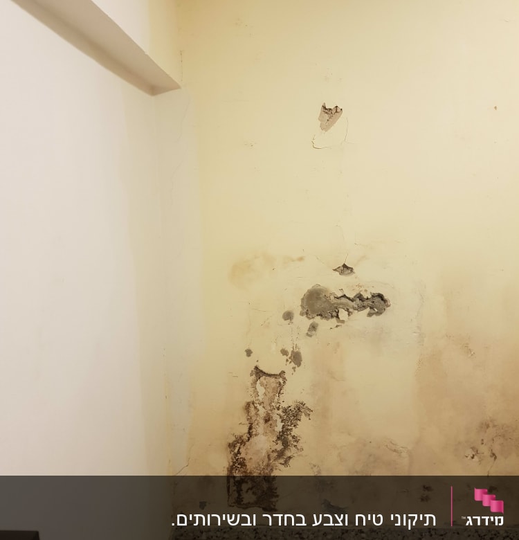 תיקוני טיח וצבע בחדר ובשירותים.